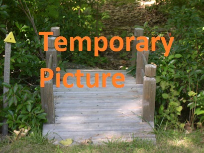 TempPic